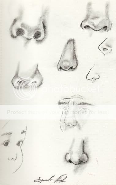 noses.jpg