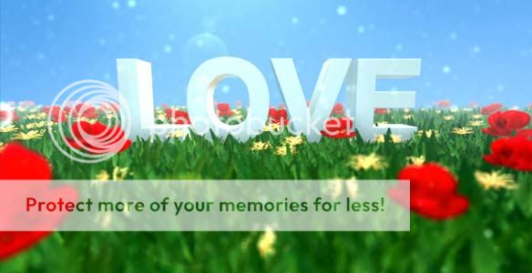  photo 3_zpsd2da0722.jpg