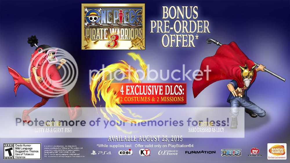 photo OnePiece PW3.png