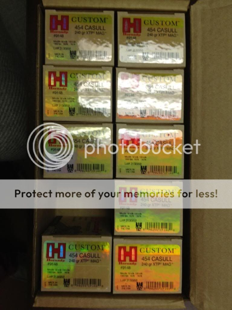 Ammo_zps588481e5.jpg