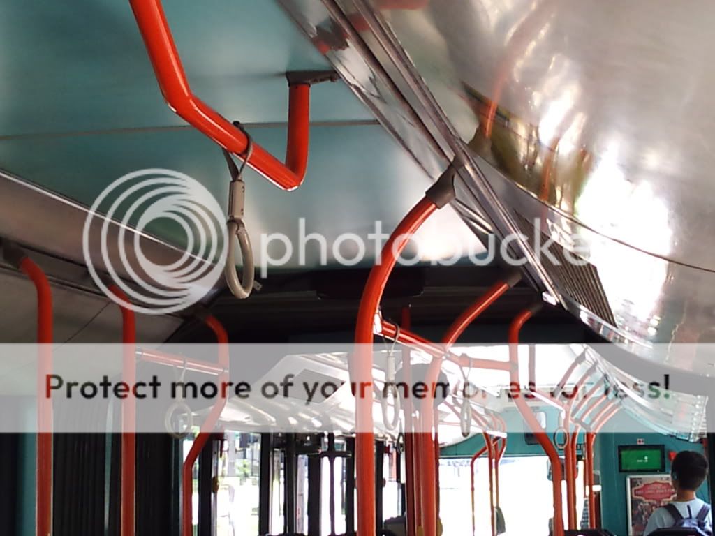 DSC_0006.jpg picture by TIB1188T