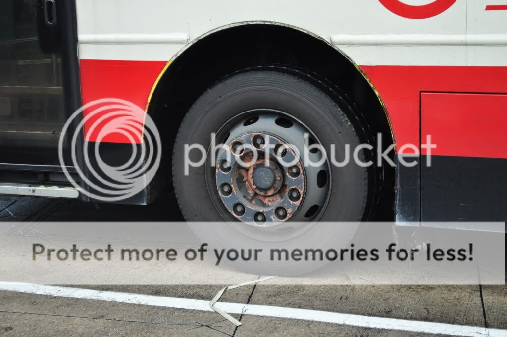 DSC_0195.jpg picture by TIB1188T