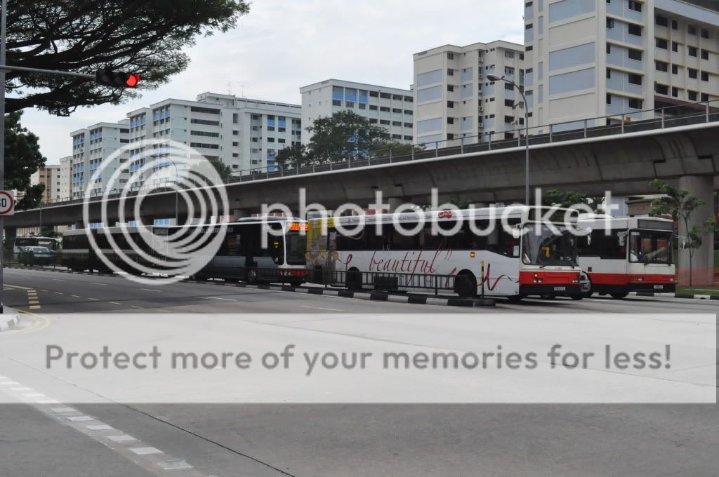 DSC_0644.jpg picture by TIB1188T