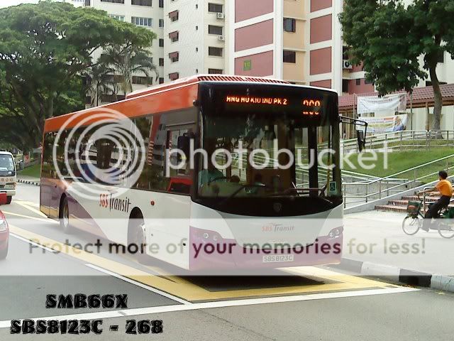 SBS8123C-268.jpg picture by TIB1188T