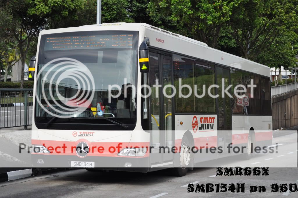 SMB134Hon960.jpg picture by TIB1188T