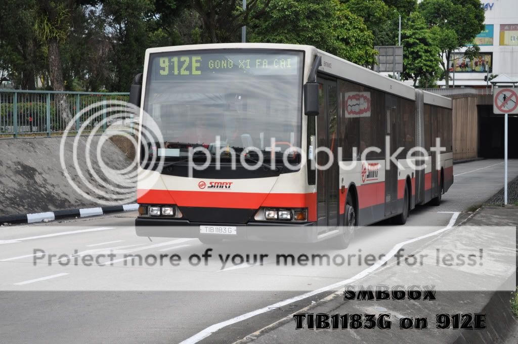 TIB1183Gon912E.jpg picture by TIB1188T