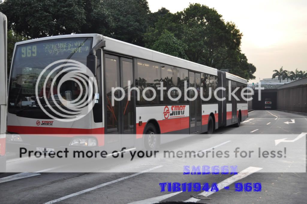 TIB1194A-969.jpg picture by TIB1188T