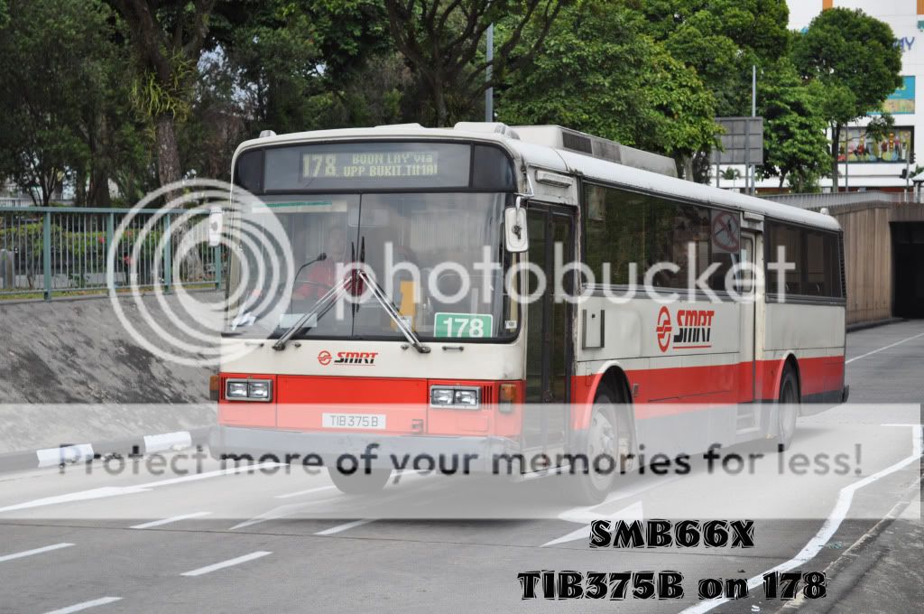 TIB375Bon178.jpg picture by TIB1188T