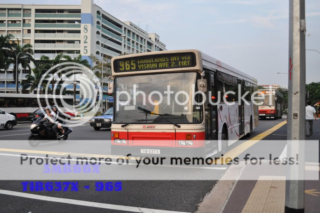 TIB637X-965.jpg picture by TIB1188T