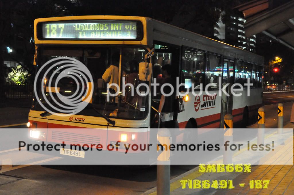 TIB649L-187.jpg picture by TIB1188T