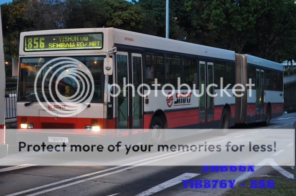 TIB876Y-856.jpg picture by TIB1188T