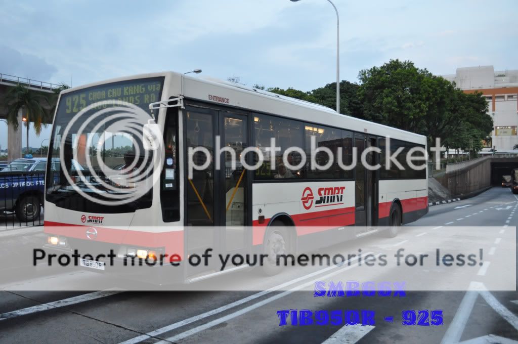 TIB950R-925.jpg picture by TIB1188T