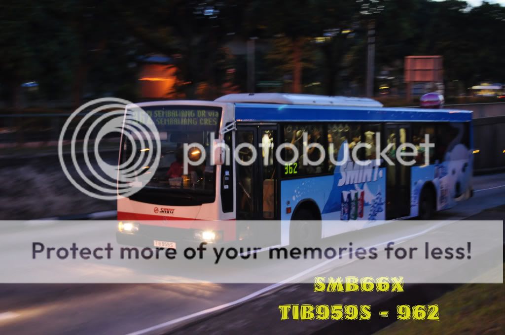 TIB959S-962.jpg picture by TIB1188T