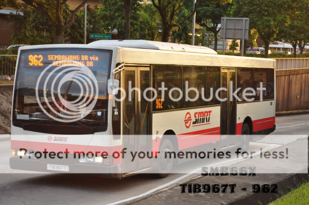 TIB967T-962.jpg picture by TIB1188T