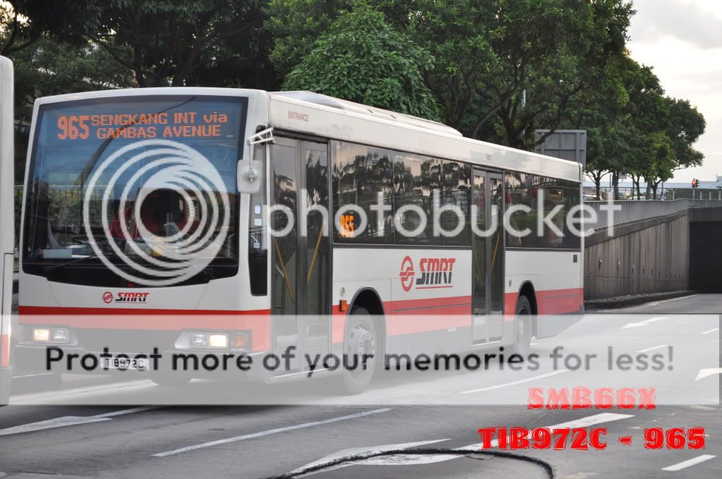 TIB972C-965.jpg picture by TIB1188T