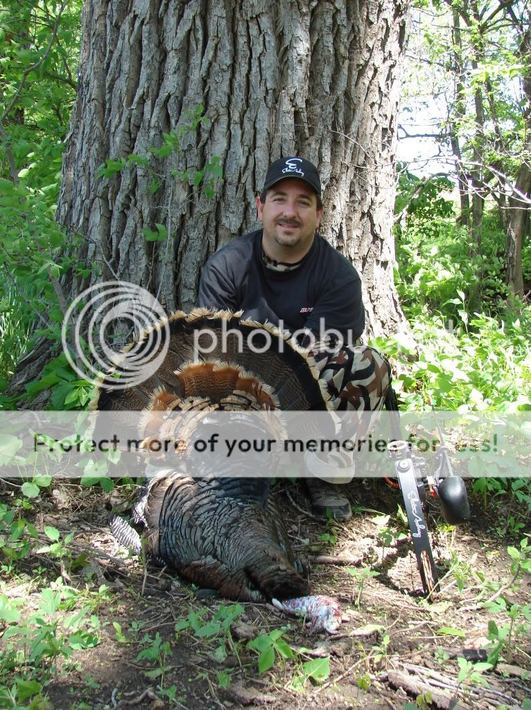 Robin KS turk